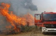 Υπό έλεγχο πυρκαγιά στο κρατικό δάσος Πάφου μετά από κεραυνό