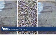 Πάφος: Ένα παράξενο φαινόμενο στην παραλία στα Λουτρά της Αφροδίτης – Φώτο