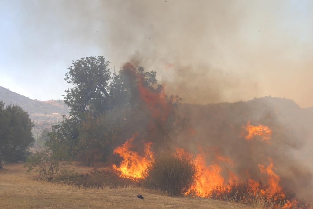 Πρόλαβαν τα χειρότερα μετά από φωτιά που ξέσπασε μεταξύ Αγίου Δημητριανού και Μηλιάς