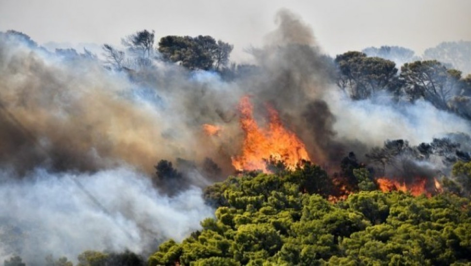 Φωτιά στην Αργάκα-Ισχυρές δυνάμεις Πυρόσβεσης στην περιοχή