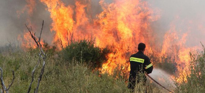 Υπό πλήρη έλεγχο τέθηκε δασική πυρκαγιά σε περιοχή του Δήμου Πέγειας