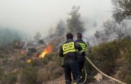 Θέσεις εργασίας στο Τμήμα Δασών για την Δασική Περιφέρεια Πάφου