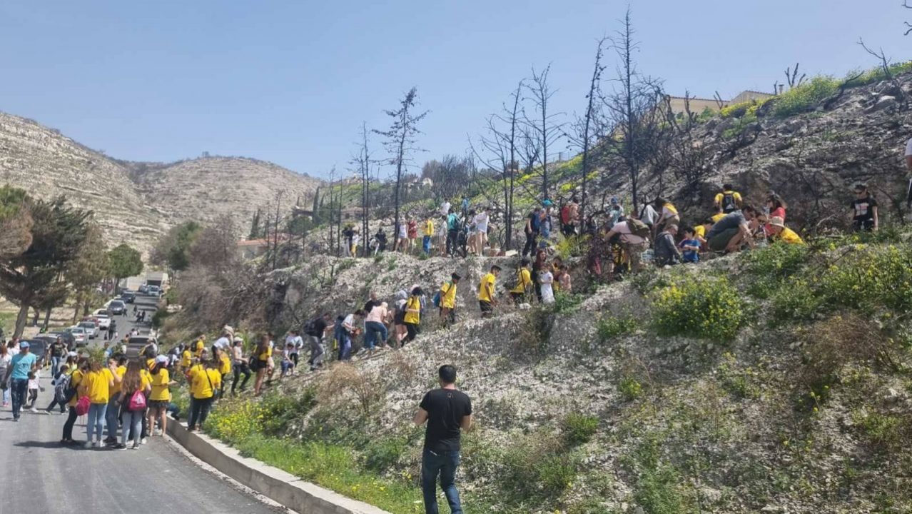 Πάφος: Δεντροφύτευση  στην Τάλα από την «Πράσινη Ασπίδα» και το Κ.Σ. Τάλας