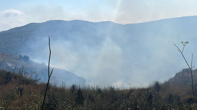 Πάφος: Υπό έλεγχο φωτιά στην Αναρίτα