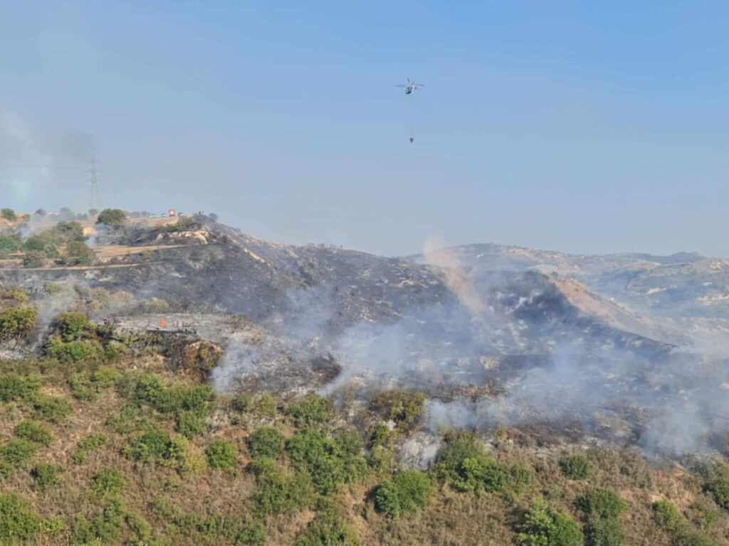 Πρόλαβαν τα χειρότερα στην Φύτη μετά από πυρκαγιές