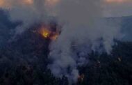 Πάφος – Πυρκαγιά: Αναμένει το αποτέλεσμα της έρευνας για το δάσος της Πάφου η Κυβέρνηση