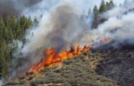 Ρυθμίσεις Υπ. Γεωργίας για ηλεκτροδότηση στο Δάσος Πάφου μετά την πυρκαγιά