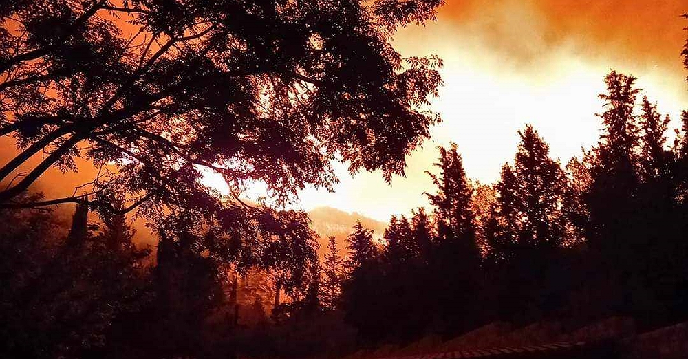 Πάφος: Σε εξέλιξη φωτιά στην περιοχή Κοίλης – Αγίου Νεοφύτου