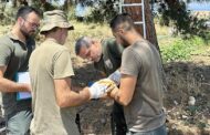 Πάφος: Συνεχίζεται η εφαρμογή Σχεδίου διαχείρισης τρωκτικών με χρήση ανθρωποπουλιού