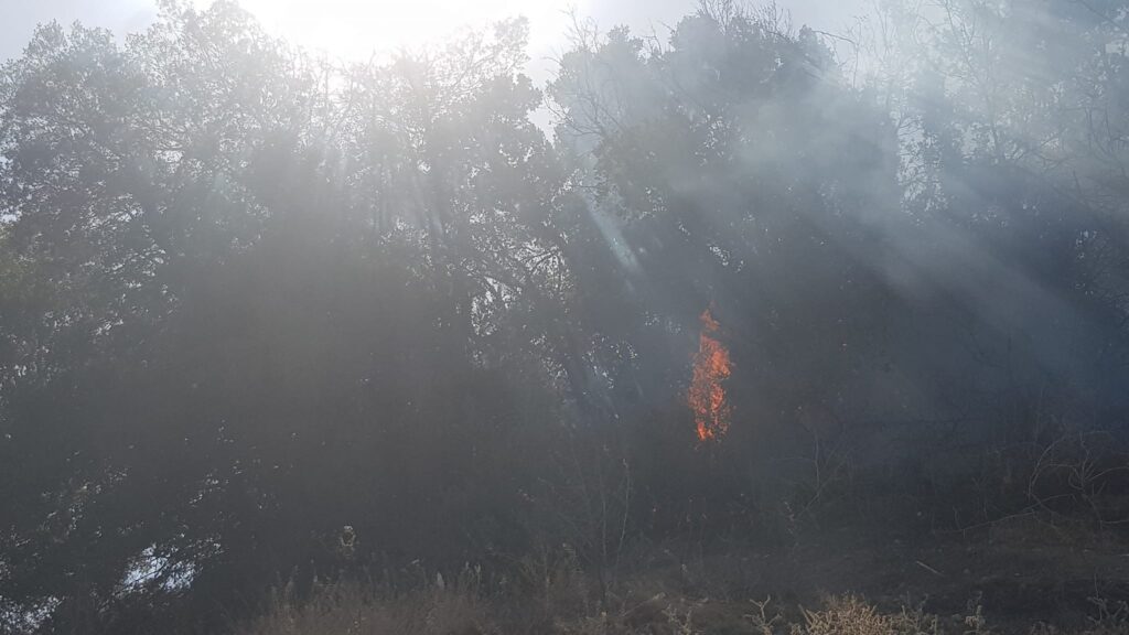 Η ΕΕ ενεργοποίησε τον μηχανισμό πολιτικής προστασίας για την πυρκαγιά στην Πάφο, είπε ο Λέναρτσιτς