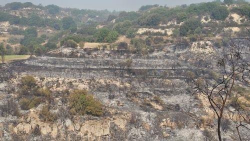 Πάφος: Υπό έλεγχο πυρκαγιά στην Τάλα