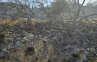 Κεττής: Σε επιφυλακή δυνάμεις πυρόσβεσης στην περιοχή πυρκαγιάς