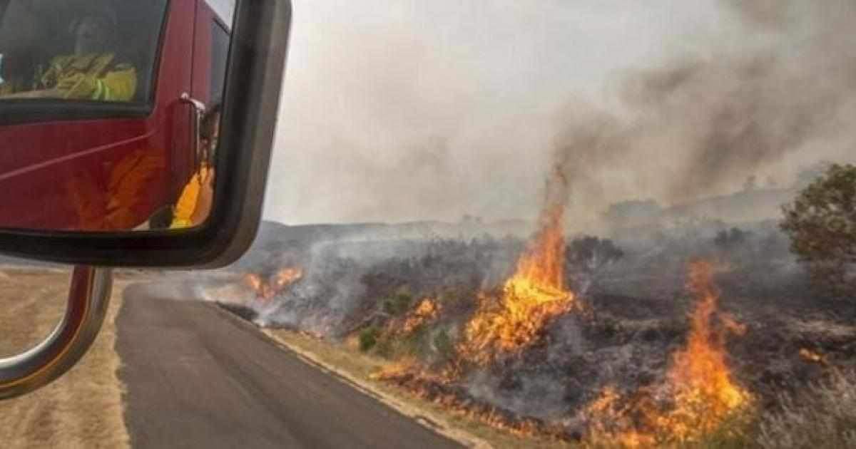 Σε κινητοποίηση η Πυροσβεστική στο Προδρόμι-Ανδρολύκου: Κατέκαψε άγρια βλάστηση
