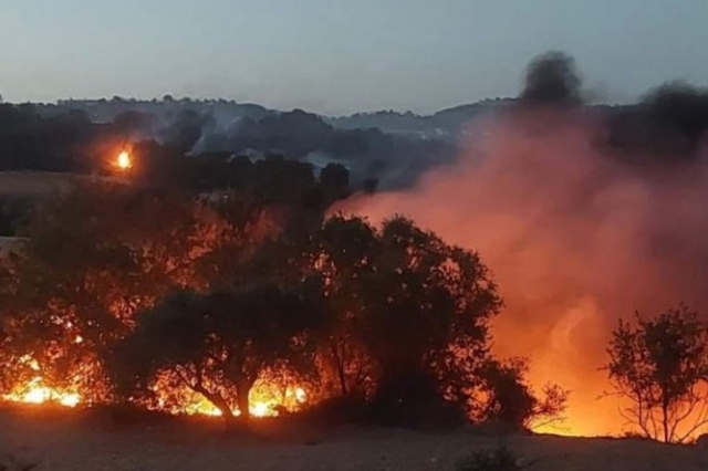 Πάφος: Πέντε εκτάρια από σπαρτά κατέκαψε η φωτιά στον Κάθηκα