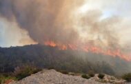 Υπό πλήρη έλεγχο δασική πυρκαγιά στα Κούκλια