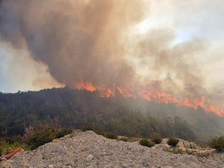 Υπό πλήρη έλεγχο δασική πυρκαγιά στα Κούκλια