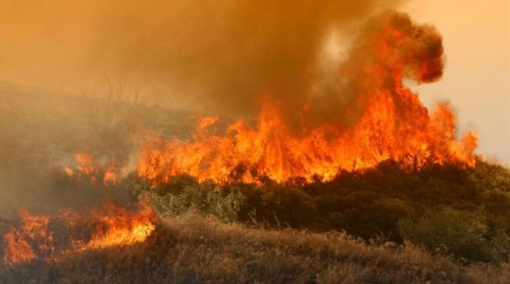 Άμεση επέμβαση των Πυροσβεστών σε φωτία στο Κρατικό Δάσος Πυκνής