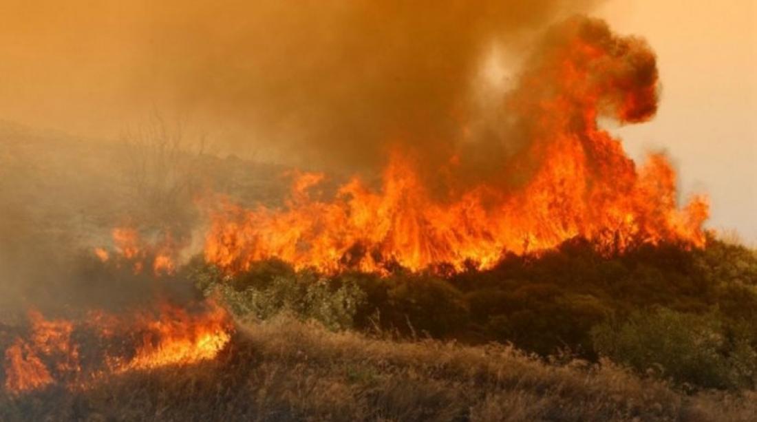 Άμεση επέμβαση των Πυροσβεστών σε φωτία στο Κρατικό Δάσος Πυκνής