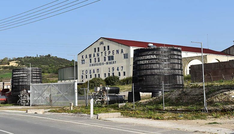 ΣΟΔΑΠ: Τέλος στην παραλαβή σταφυλιών εσοδείας 2024