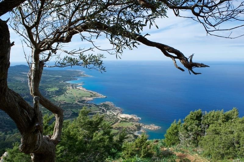 Συνεχίζεται η ανέγερση παράνομων αγροικιών (σκιάδια) στον Ακάμα