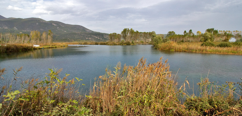 Δρομολόγηση ενεργειών από Κτηνιατρικές Υπηρεσίες για προστασία ζώων που εισέρχονται σε τεχνητές λίμνες