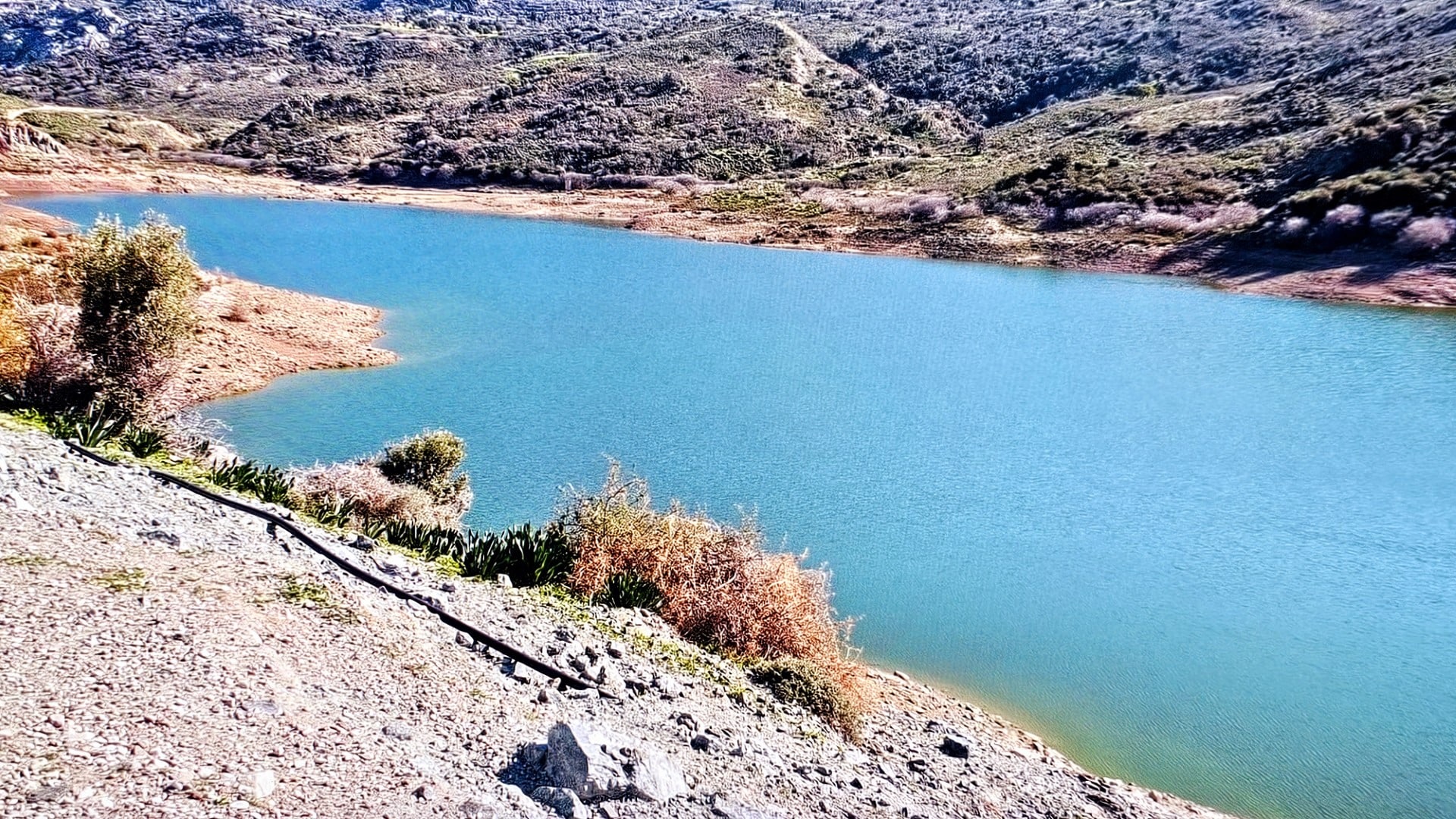 Κατάλληλο για επανεποίκηση φρουτονυχτερίδας το φράγμα Μαυροκόλυμπου, λέει το Τμ. Περιβάλλοντος