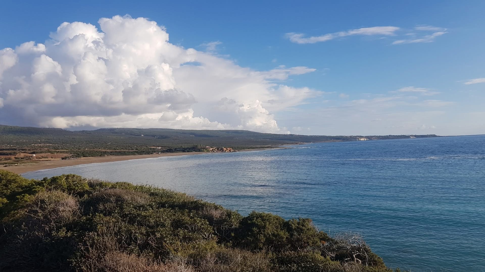 Ανησυχία Δήμου Ακάμα για αναστολή των εργασιών στο Εθνικό Δασικό Πάρκο