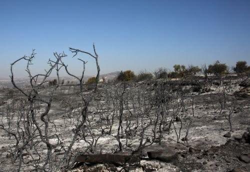 Υπάρχουν ενδείξεις ότι πυρκαγιές τίθενται εσκεμμένα, λέει ο Α. Κεττής